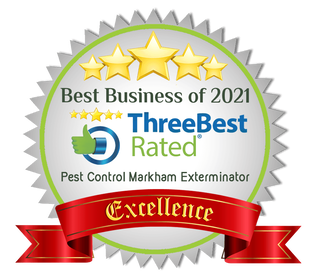 rated best markham pest control company