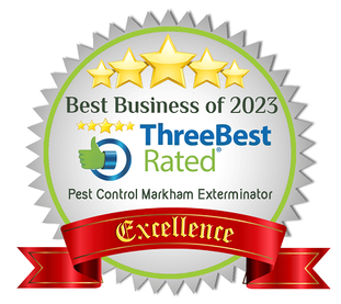 rated best markham pest control company